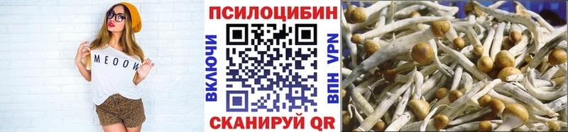 где продают наркотики  Краснокаменск  Псилоцибиновые грибы Psilocybine cubensis 